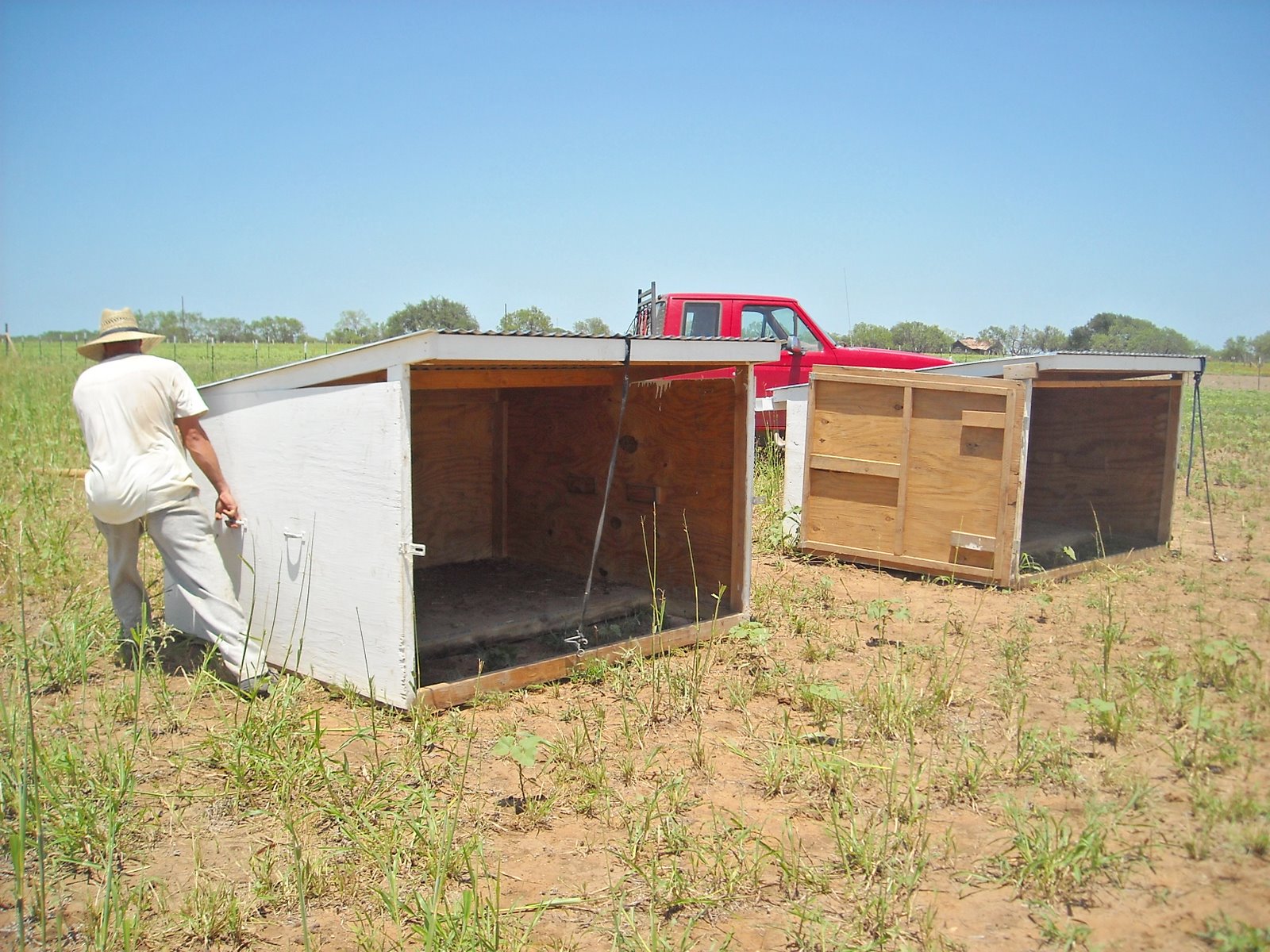 Goat Shelter Plans – What Must You Look Out For When ...