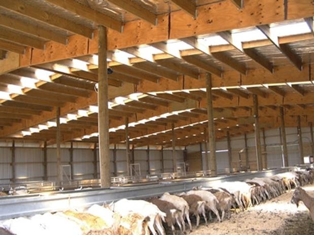  Plans – What Must You Look Out For When Raising Goats  Shed